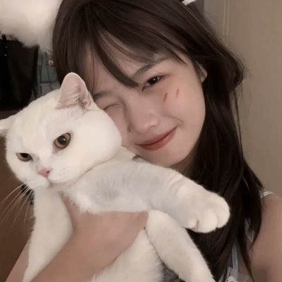 官方盈彩app下载